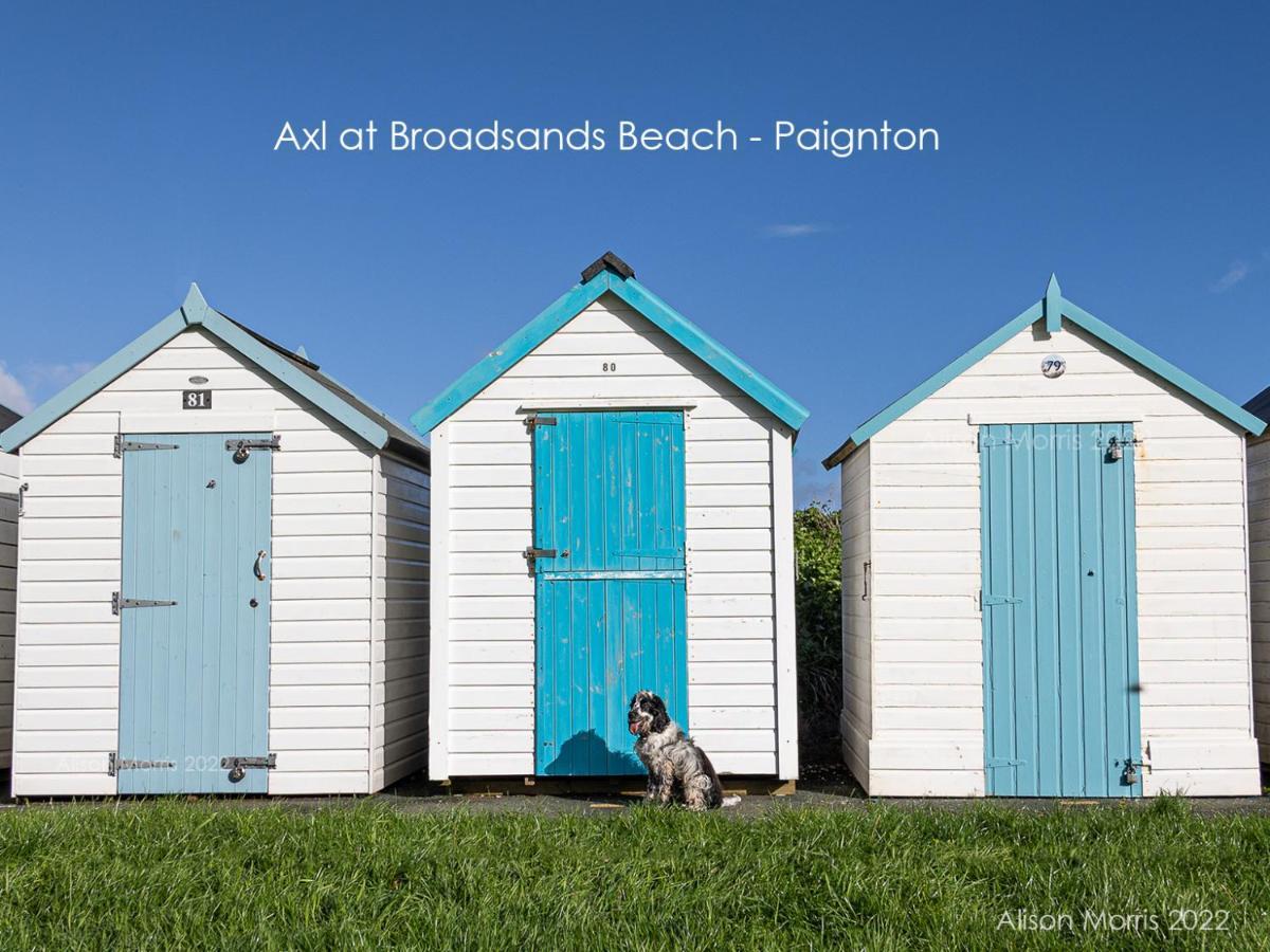 Dart Haven - Cheerful Holiday Bungalow In Galmpton Dış mekan fotoğraf